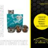 Juego de pistones Renault Twingo
